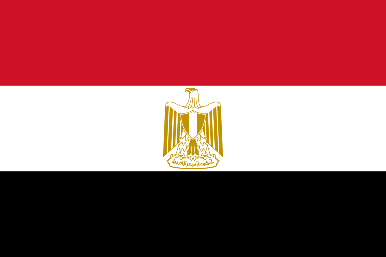Egyptian Youth are Dissatisfied with Their Education System
