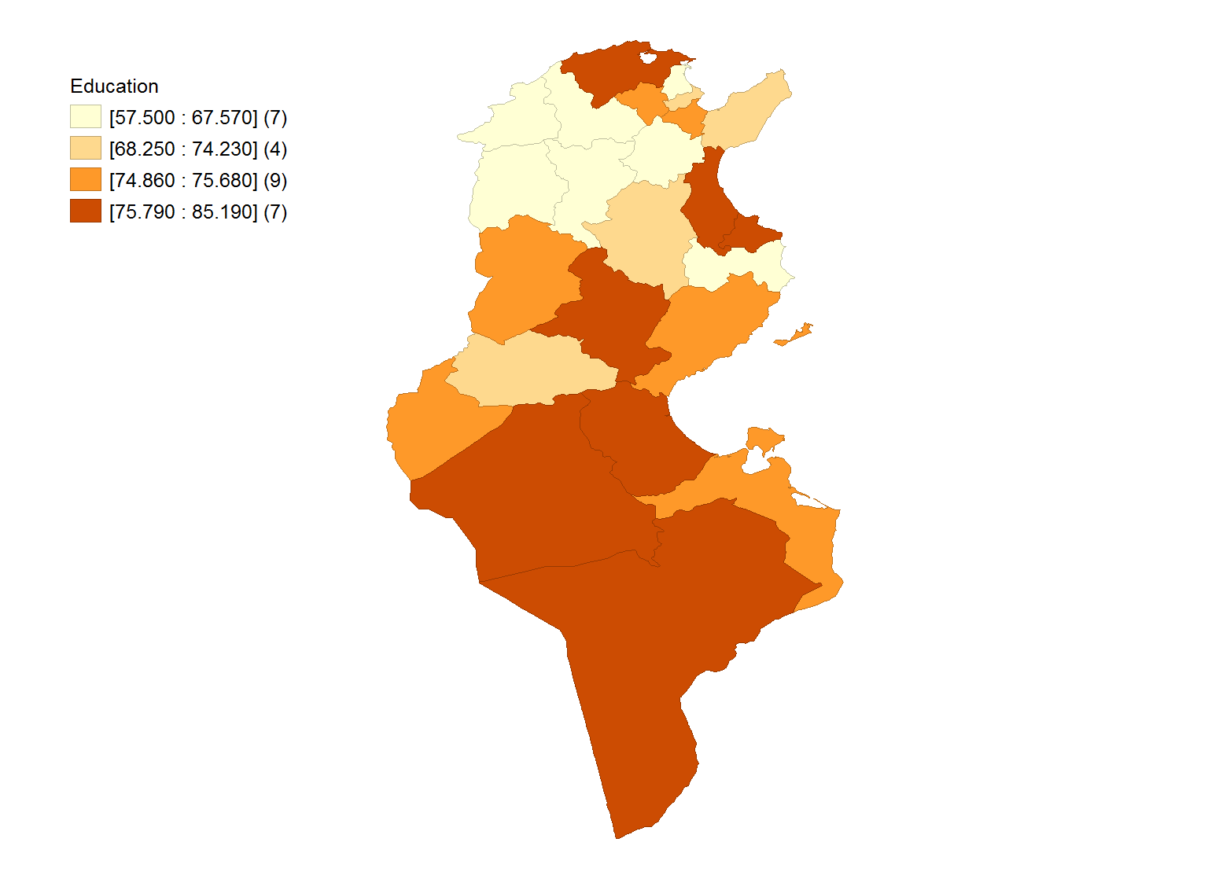 Education in Tunisia: Past progress, present decline and future challenges