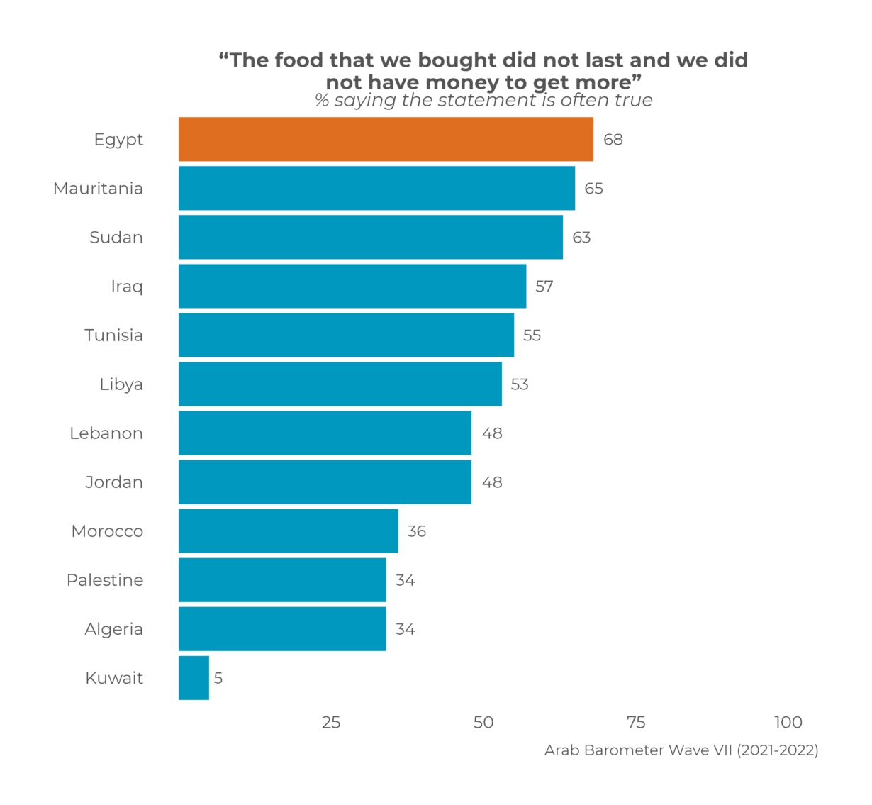 Citizens’ views on Egypt’s economic woes