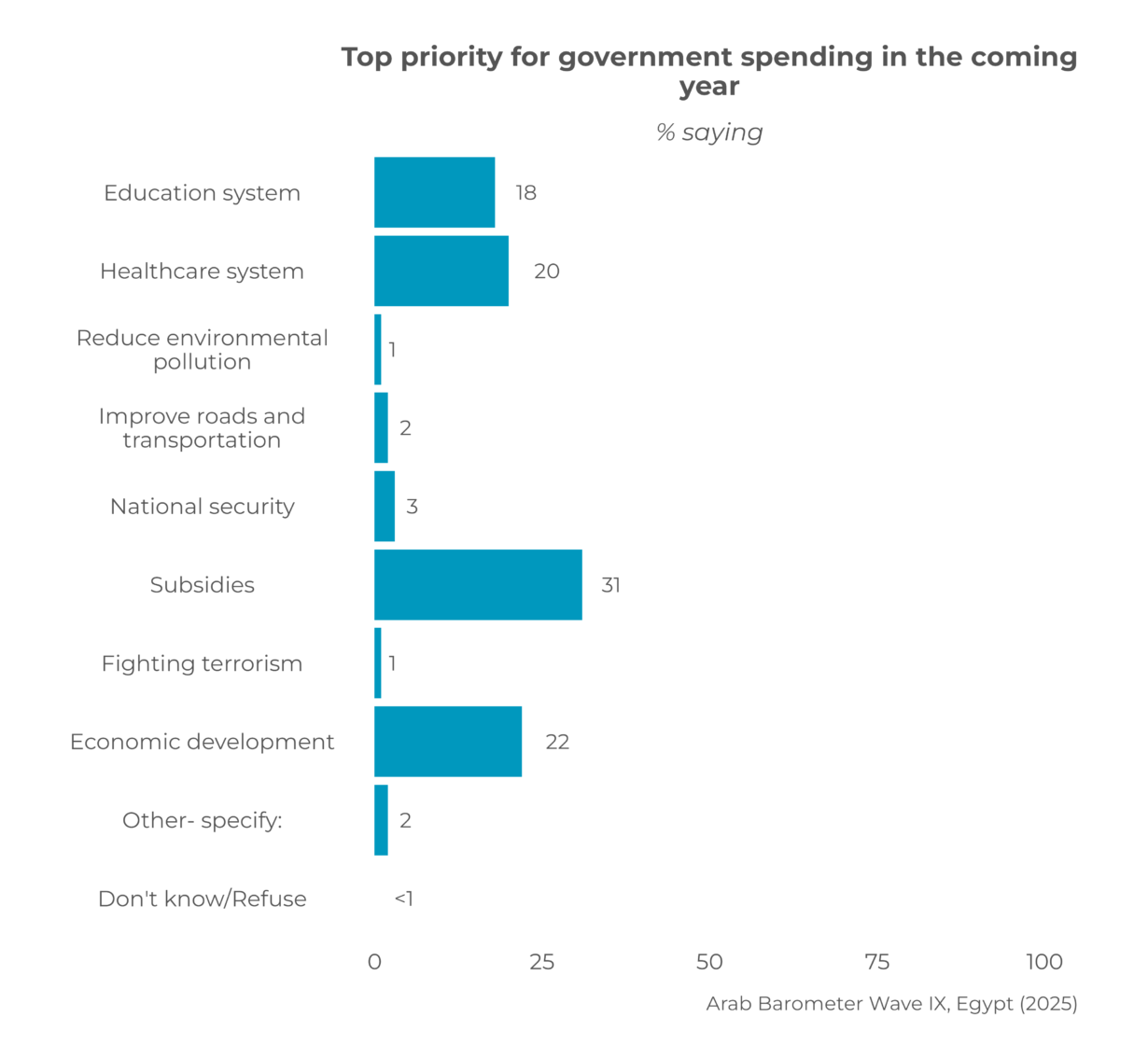 Egypt: Public Opinion Report 2025