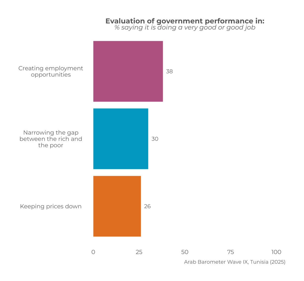 Tunisia: Public Opinion Report 2025