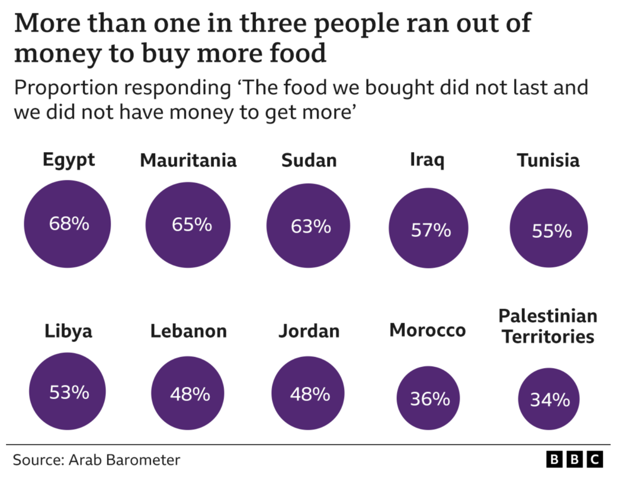 Arab Barometer