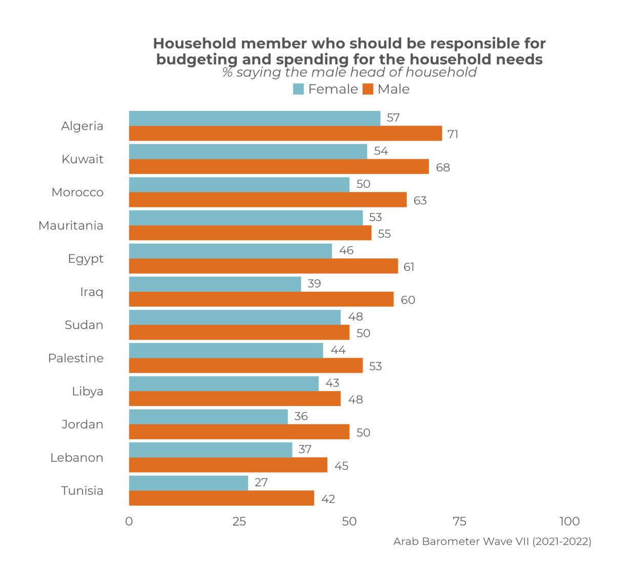 Confounding and confirming expectations on the “care economy” in MENA