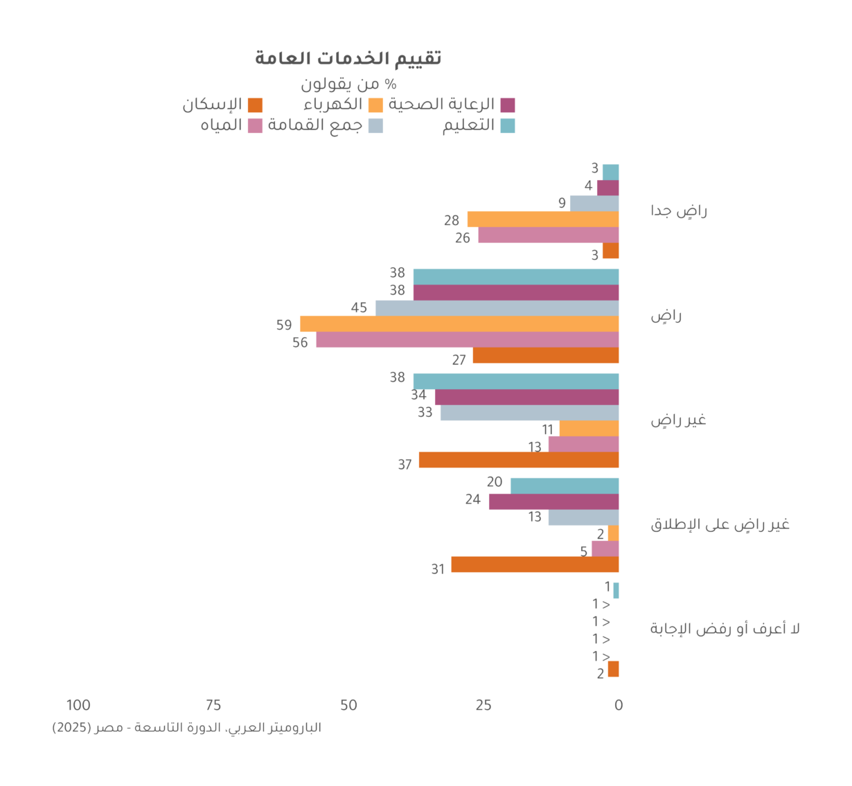 صحيفة وقائع للرأي العام المصري لعام 2025